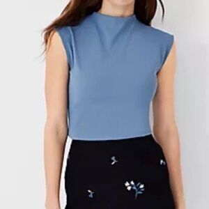 Ann Taylor Petite Refined Stretch Mock Neck Top